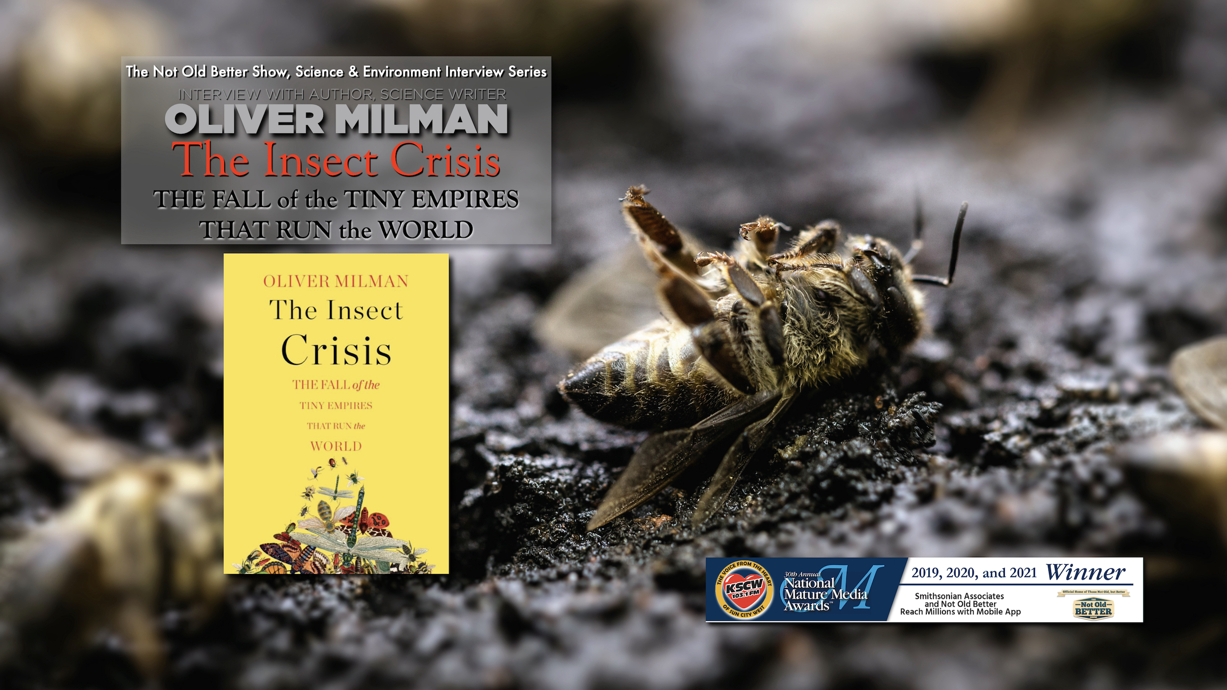 The Insect Crisis – Oliver Milman