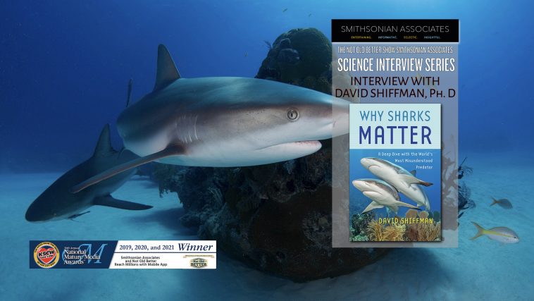 Why Sharks Matter - Dr. David Shiffman - The Not Old - Better Show