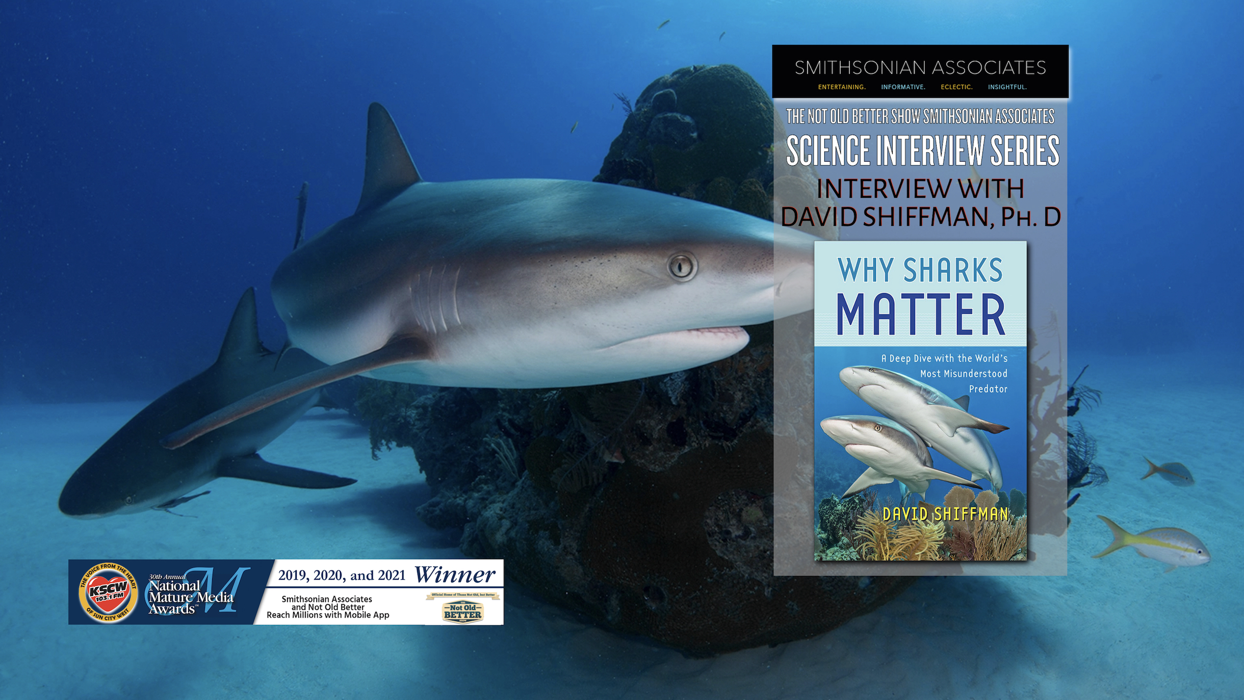 Why Sharks Matter – Dr. David Shiffman