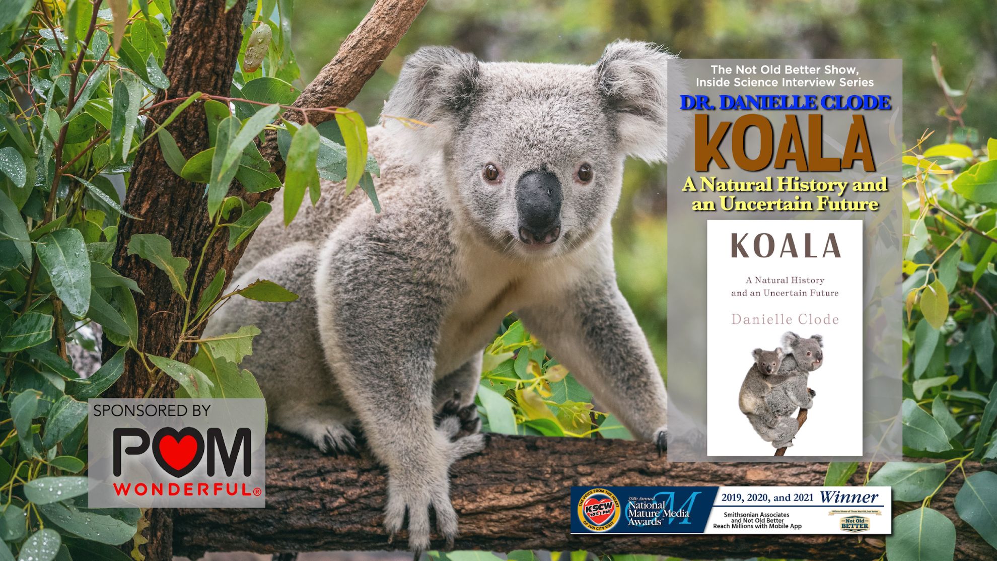 Koalas: A Natural History and an Uncertain Future – Dr. Danielle Clode