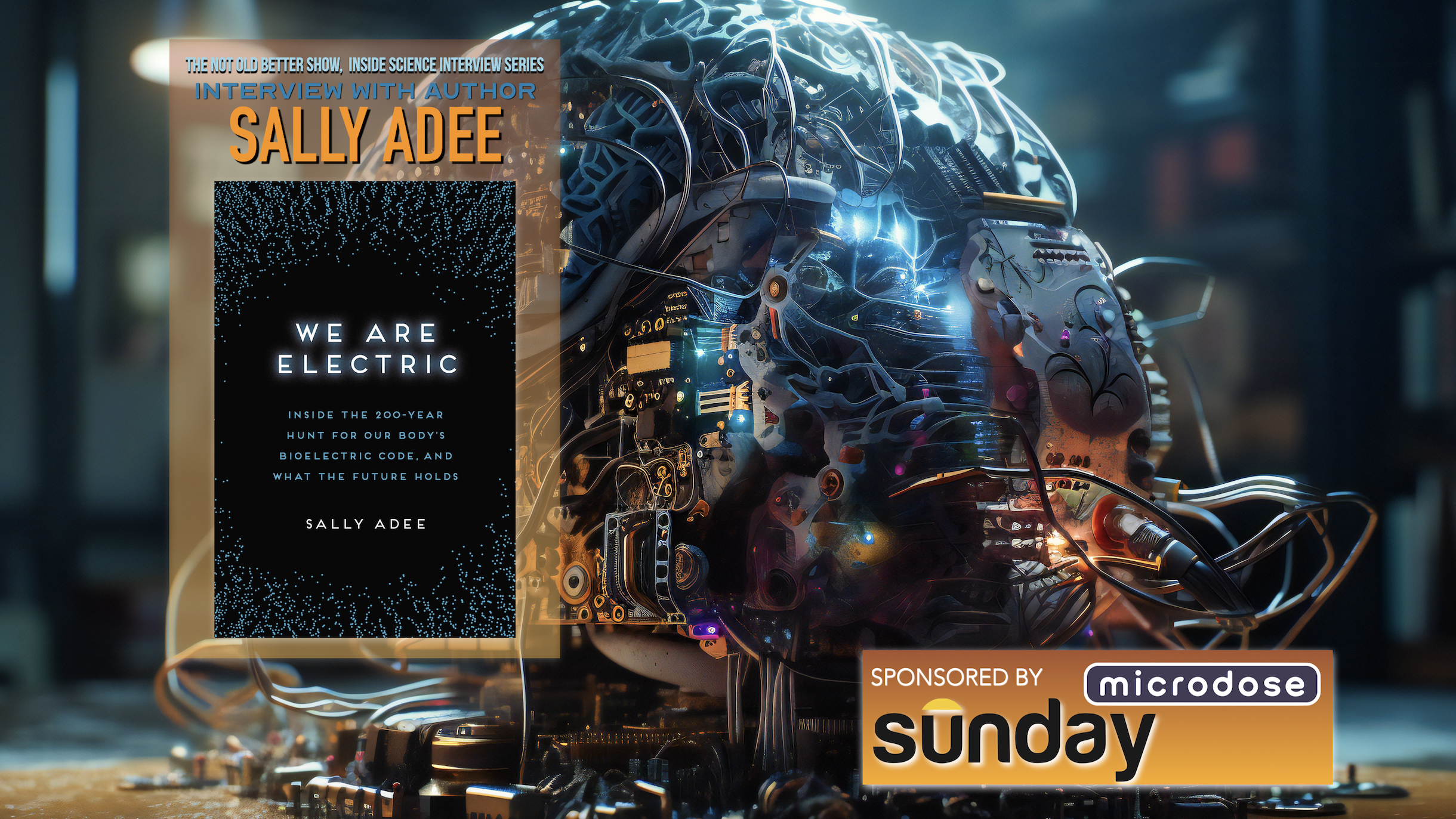 We Are Electric – Sally Adee