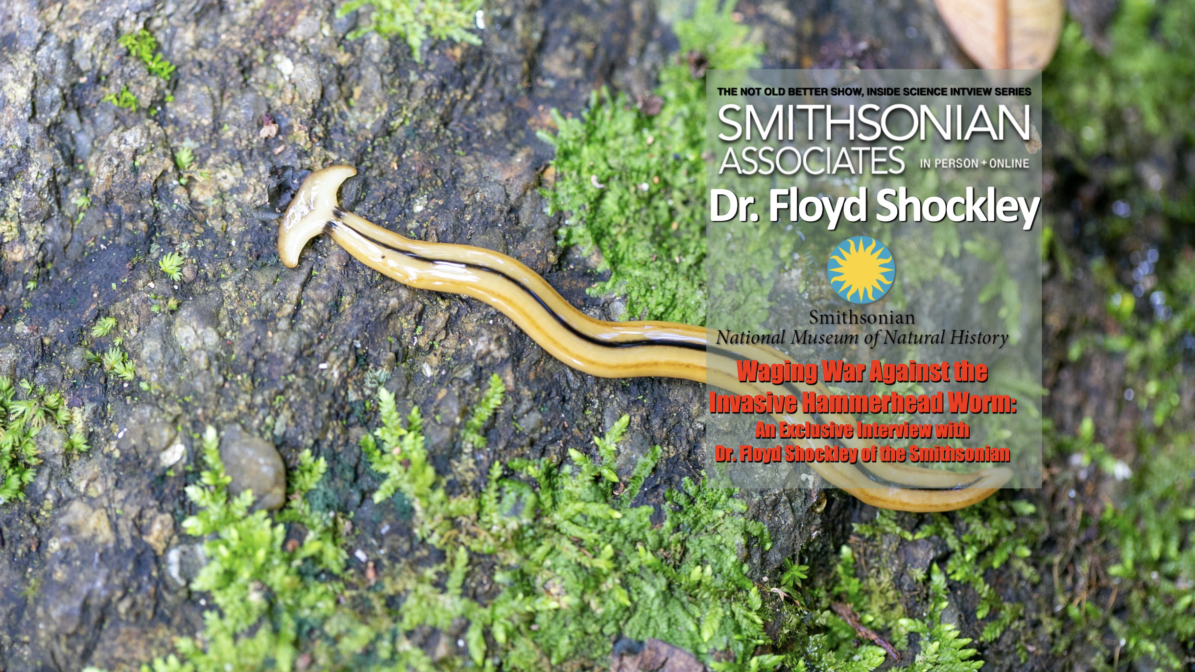 Dr. Floyd Shockley-Waging War on Hammerhead Worms